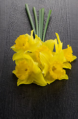 Image showing Yellow jonquil flowers