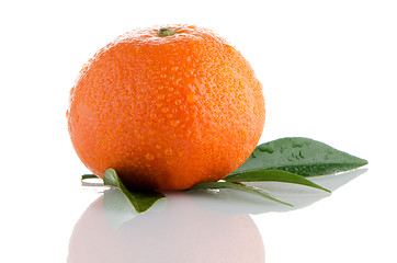 Image showing Fresh orange mandarin