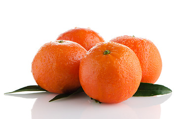 Image showing Ripe tangerines or mandarin