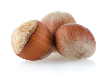 Image showing Three hazelnuts