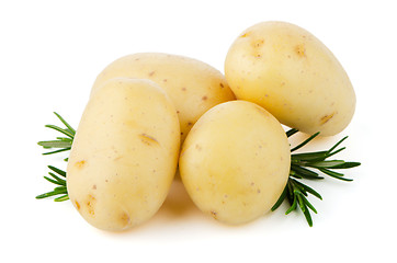 Image showing New potato and green parsley