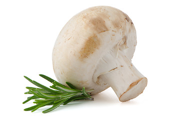 Image showing Champignon mushroom and parsley leaves 
