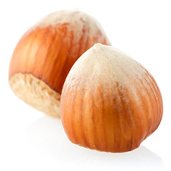 Image showing Three hazelnuts