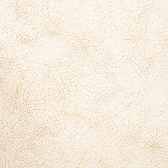 Image showing White leather texture