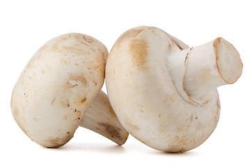 Image showing Champignon mushrooms