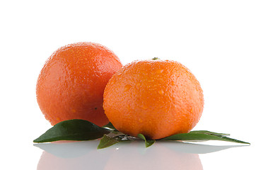 Image showing Fresh orange mandarins