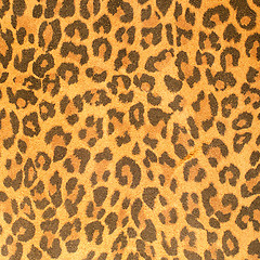 Image showing Leopard leather pattern texture closeup