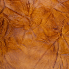 Image showing Old leather