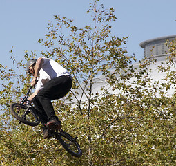 Image showing BMX Biker