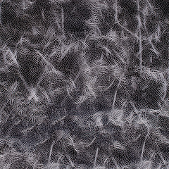 Image showing Abstract leather texture closeup