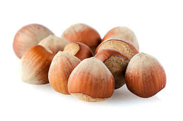 Image showing Tasty hazelnuts