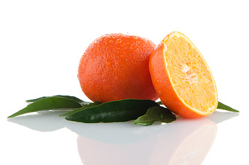 Image showing Fresh orange mandarins