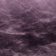 Image showing Purple leather