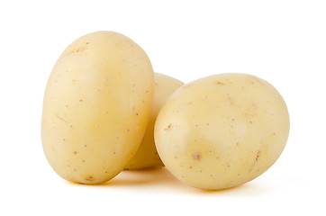 Image showing New potatoes