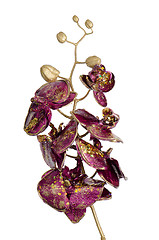 Image showing Golden and purple Christmas decoration