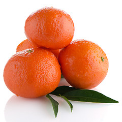 Image showing Ripe tangerines or mandarin