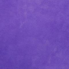 Image showing Purple suede