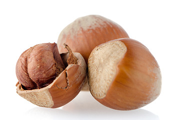 Image showing Fresh hazelnuts 