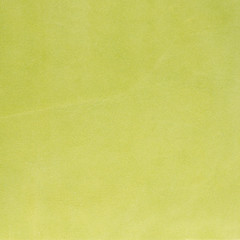 Image showing Green leather