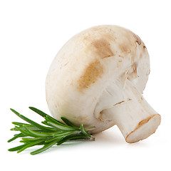 Image showing Champignon mushroom and parsley leaves 