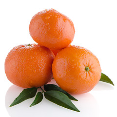 Image showing Tangerines