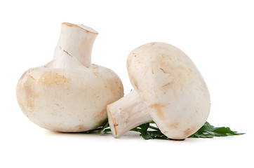 Image showing Champignon mushrooms and parsley leaves 