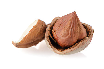 Image showing Tasty hazelnuts