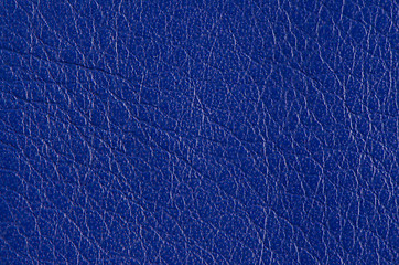 Image showing Blue leather 