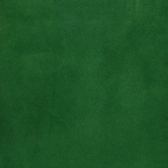 Image showing Green leather