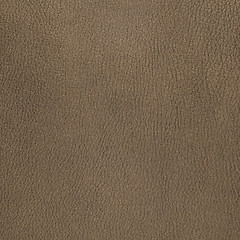 Image showing Grey leather texture closeup