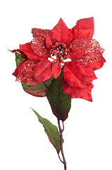 Image showing Red Christmas decoration