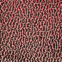 Image showing Abstract leather texture closeup