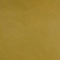 Image showing Green leather