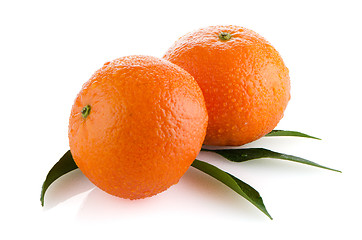 Image showing Fresh orange mandarins