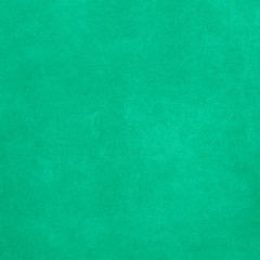 Image showing Green suede