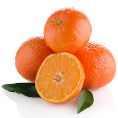 Image showing Tangerines