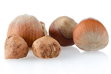 Image showing Tasty hazelnuts