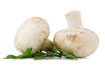 Image showing Champignon mushrooms and parsley leaves 