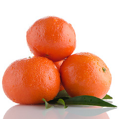 Image showing Ripe tangerines or mandarin