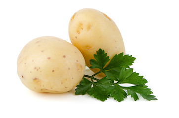 Image showing New potatoes and green parsley