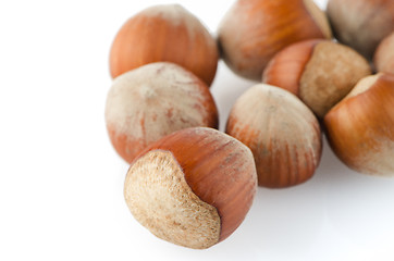 Image showing Tasty hazelnuts