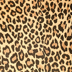 Image showing Leopard leather pattern texture closeup