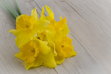 Image showing Jonquil flowers