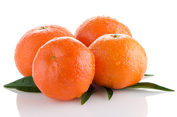 Image showing Ripe tangerines or mandarin