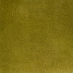 Image showing Green leather