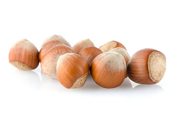 Image showing Fresh hazelnuts 