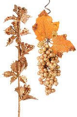 Image showing Golden grapes