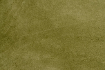 Image showing Green leather