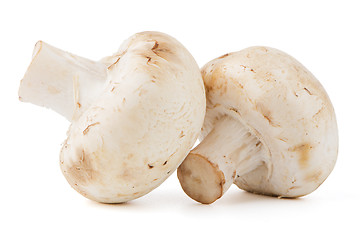 Image showing Champignon mushrooms