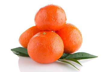 Image showing Ripe tangerines or mandarin